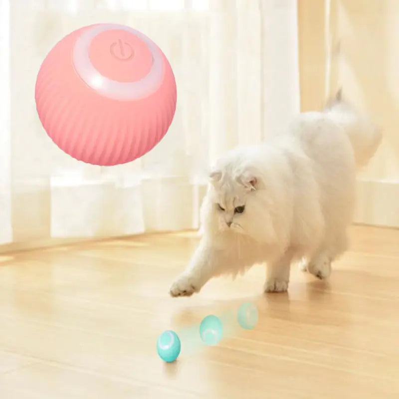 Smart Electric Cat/Dog Rolling Ball Toys